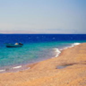 Meet your Posher, Peter